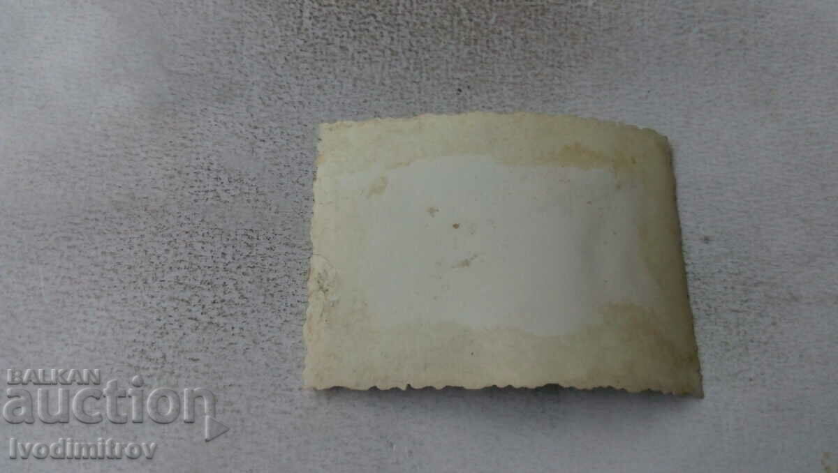 Photo Ruse Schoolgirls on the meadow with price 2.35 BGN | € 1.20 Photo Ruse Schoolgirls on the meadow with price 2.35 BGN | € 1.20