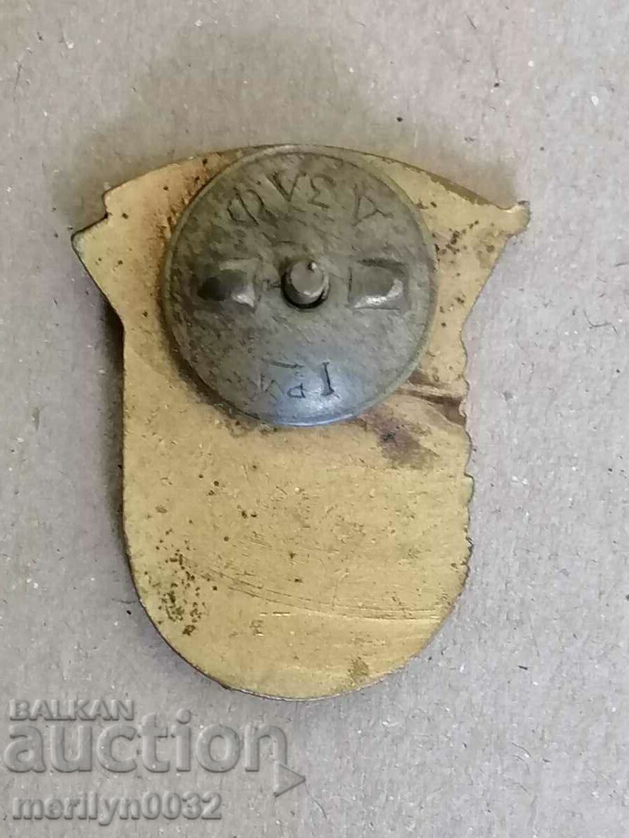 People's Sagittarius Medal Badge Badge - 6 People's Sagittarius Medal Badge Badge - 6