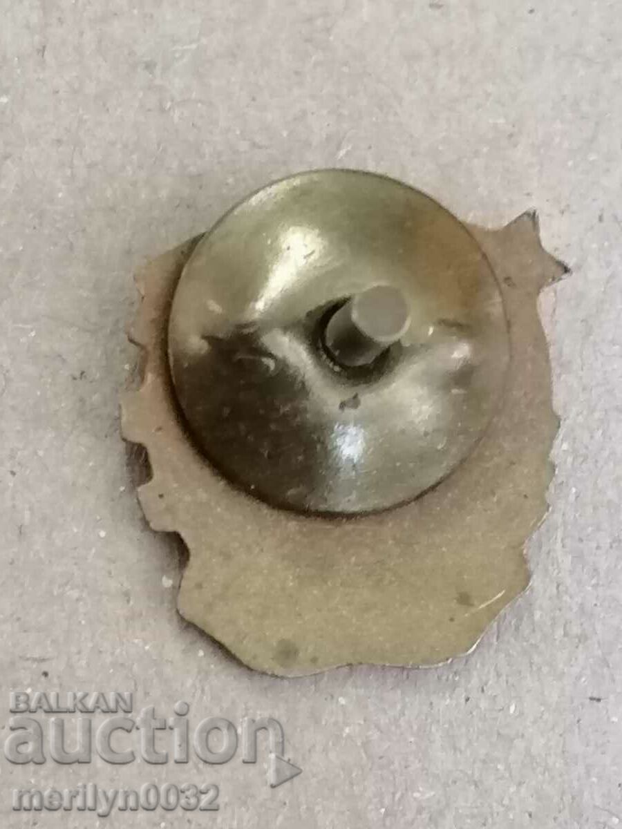 Chest badge CHM medal badge - 6 Chest badge CHM medal badge - 6