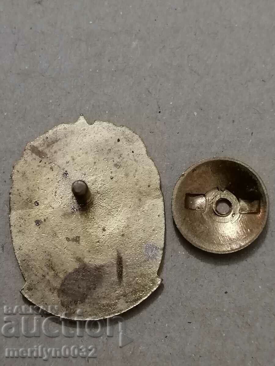 Delivery of Badge of Honor for Chitalishte Activity Medal Badge Delivery of Badge of Honor for Chitalishte Activity Medal Badge