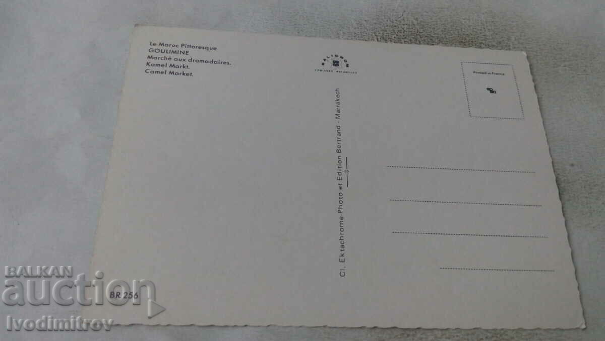 Goulimine Camel Market Postcard with price 0.85 BGN | € 0.43 Goulimine Camel Market Postcard with price 0.85 BGN | € 0.43