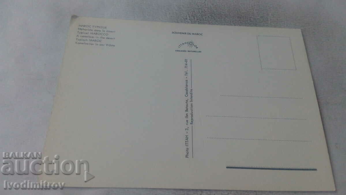 Postcard Tipical Marocco A Cameleer in the Desert with price 0.85 BGN | € 0.43