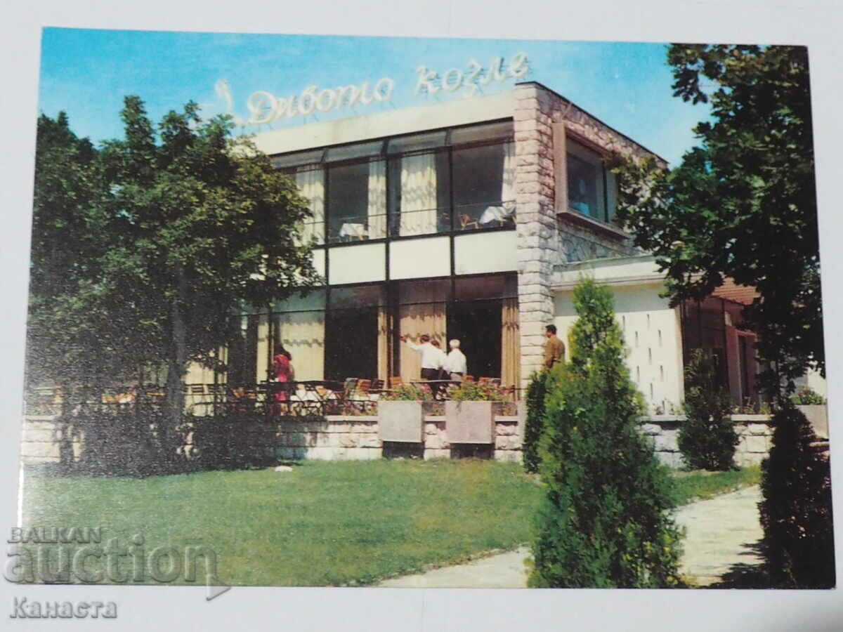Haskovo restaurant Divoto kozle K 354