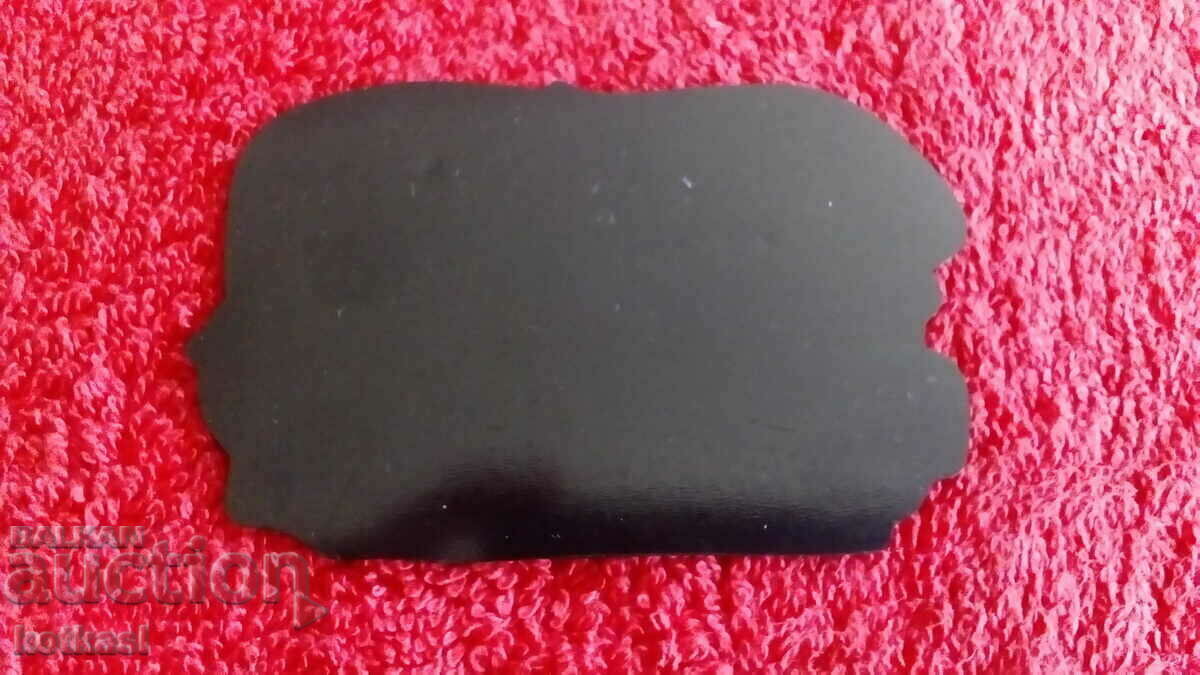 Souvenir Fridge magnet Sea urchin - 6 Souvenir Fridge magnet Sea urchin - 6