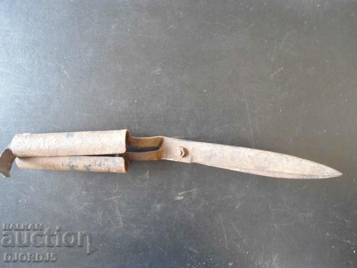 Old garden scissors - 5 Old garden scissors - 5