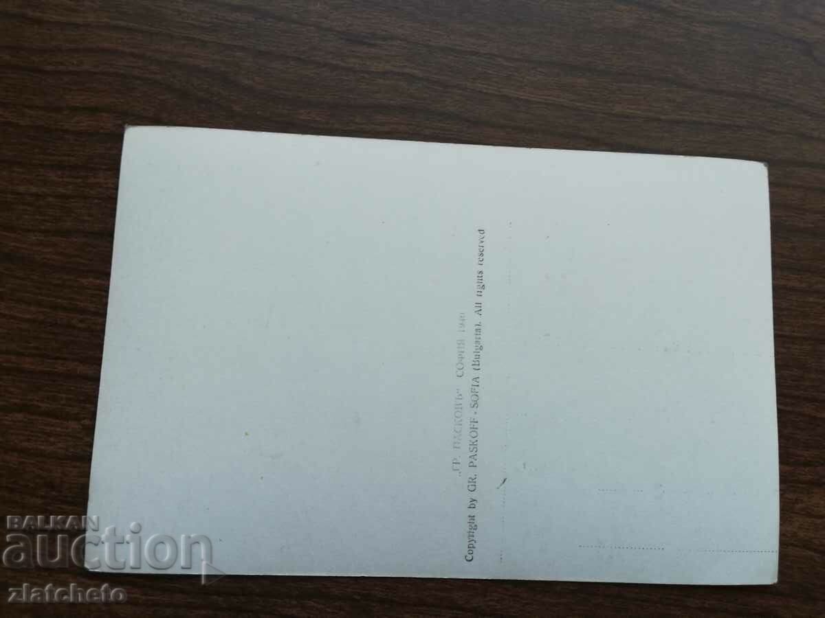 Auction Postcard - Pirin Auction Postcard - Pirin