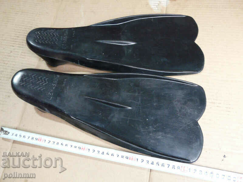 aripioare bulgare cu preț 25.00 BGN | € 12.78