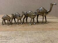 Beautiful art composition bronze sculptures - 4 camels