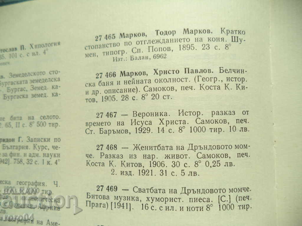 BELCHINSKA BATH AND ITS SURROUNDINGS - HRISTO MARKOV - 5 BELCHINSKA BATH AND ITS SURROUNDINGS - HRISTO MARKOV - 5