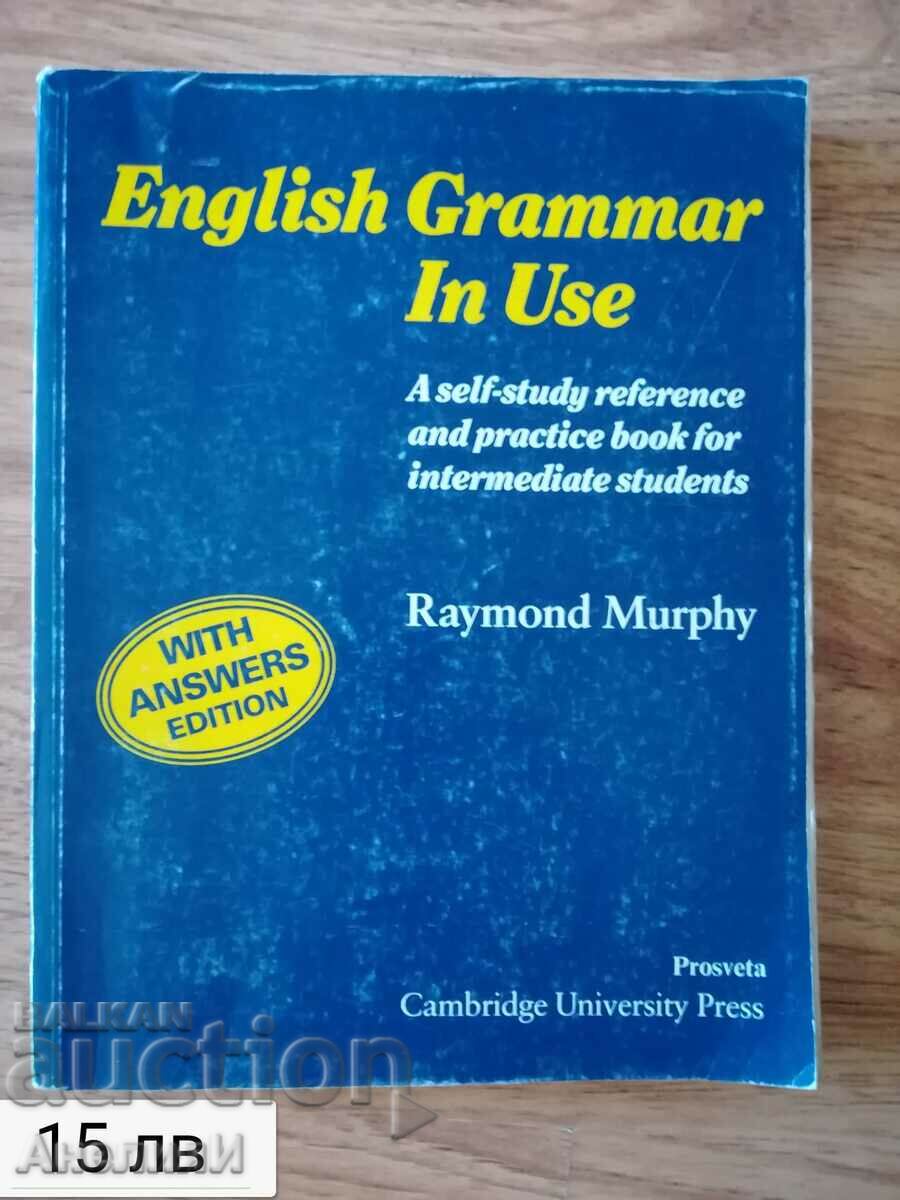 Gramatica engleză în uz