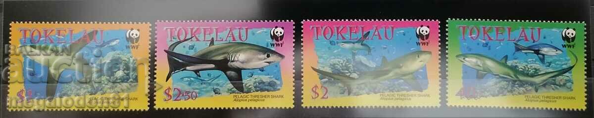 Tokelau - πανίδα WWF, καρχαρίας
