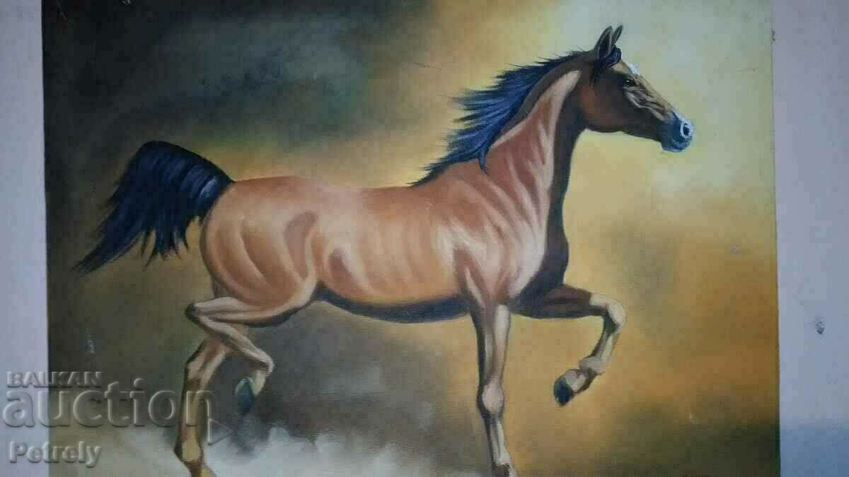 Pictura in ulei cu preț € 40.90 | 79.99 BGN Pictura in ulei cu preț € 40.90 | 79.99 BGN