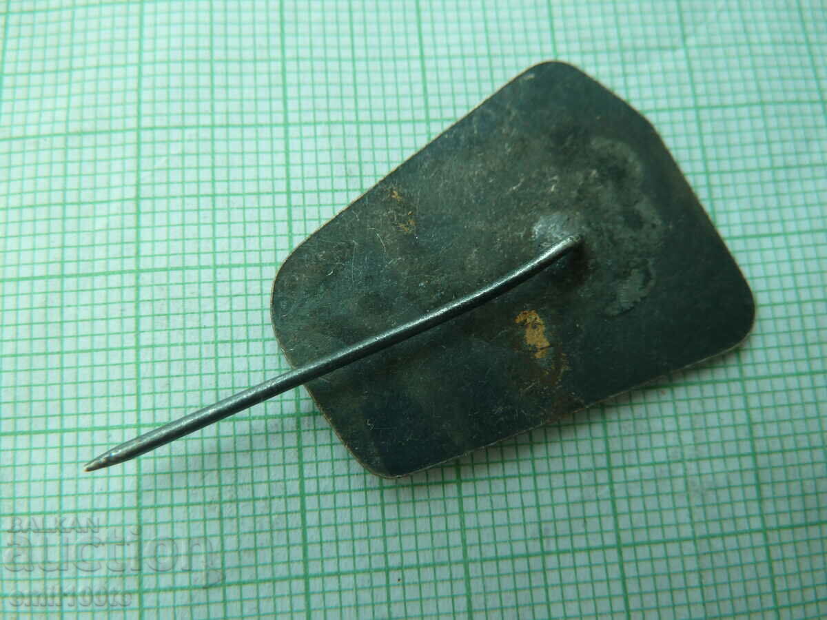 Livrarea Insigna - Maritsa Est 10 ani de patronaj Komsomol Livrarea Insigna - Maritsa Est 10 ani de patronaj Komsomol