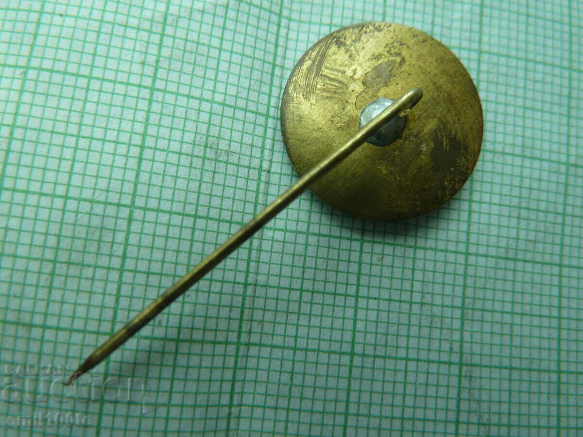 Delivery of Badge - MAF Delivery of Badge - MAF