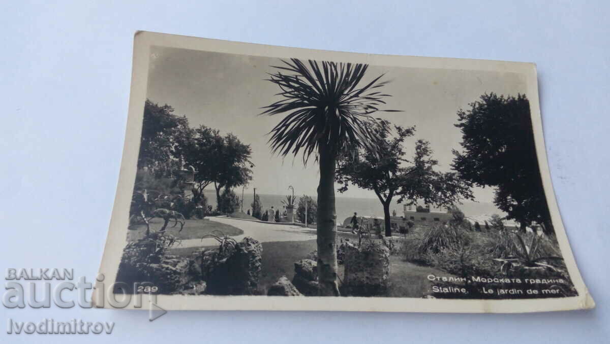 Postcard Stalin Sea Garden 1955