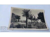 Postcard Stalin Sea Garden 1955