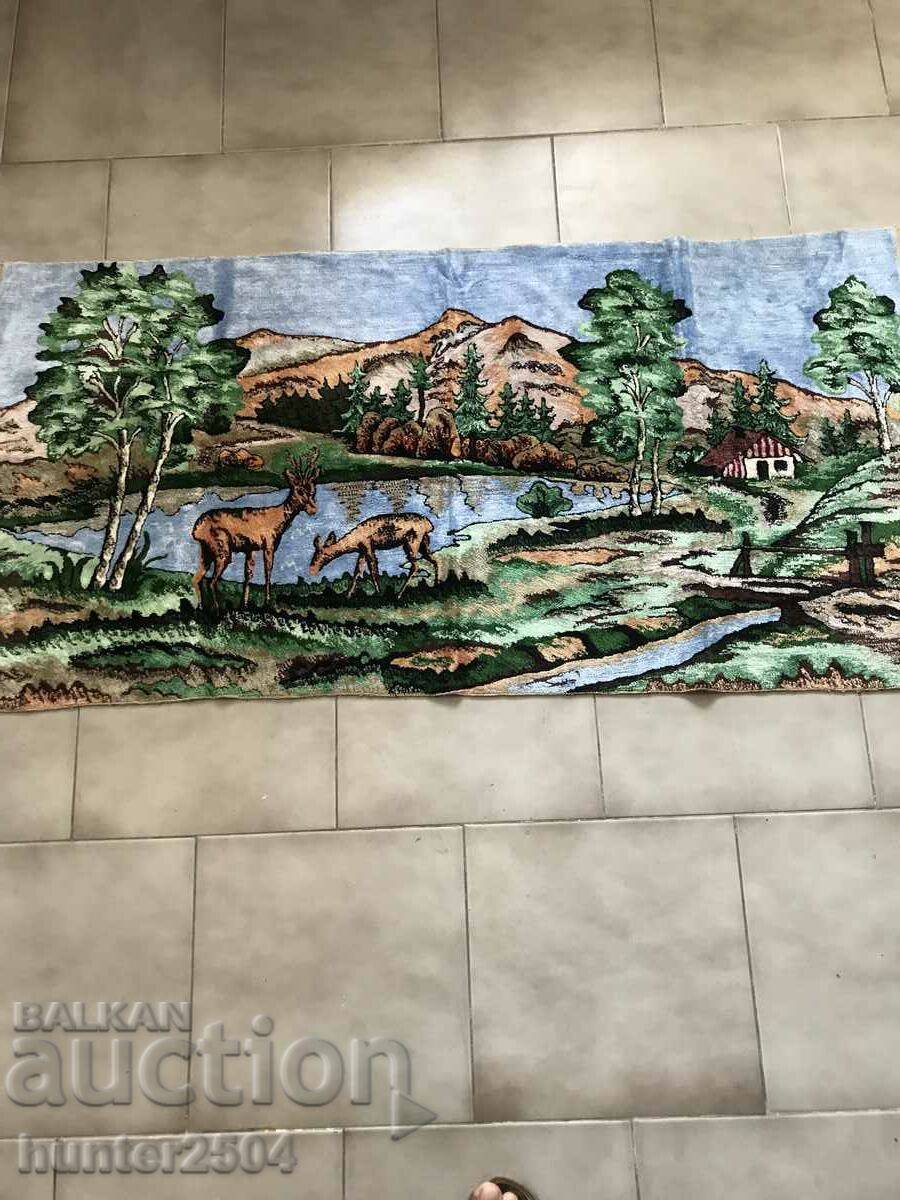 Husa-Cprior 120/60 cm