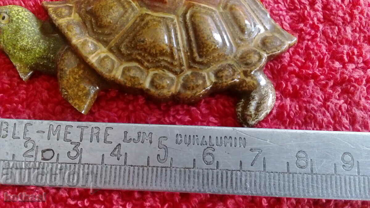 Auction Souvenir Fridge Magnet Turtle Beauty Auction Souvenir Fridge Magnet Turtle Beauty