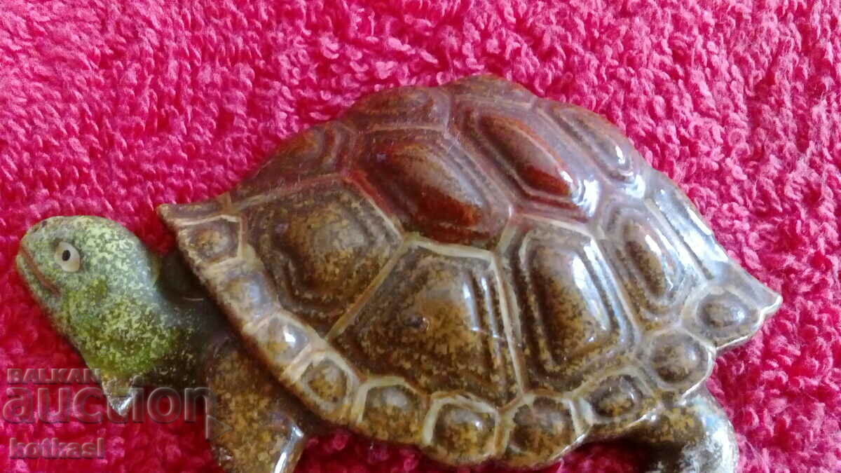 Delivery of Souvenir Fridge Magnet Turtle Beauty Delivery of Souvenir Fridge Magnet Turtle Beauty