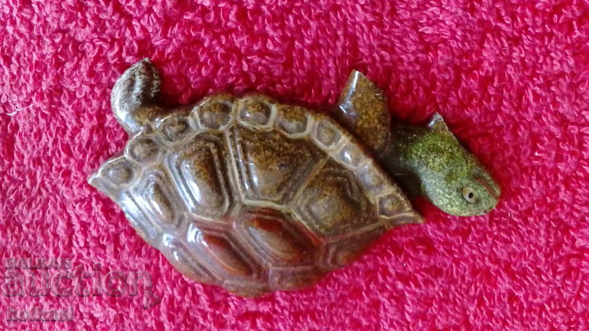 Souvenir Fridge Magnet Turtle Beauty - 5 Souvenir Fridge Magnet Turtle Beauty - 5