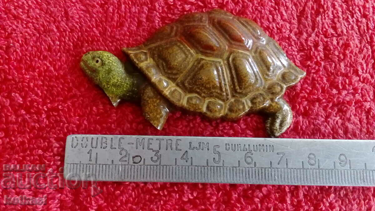Souvenir Fridge Magnet Turtle Beauty