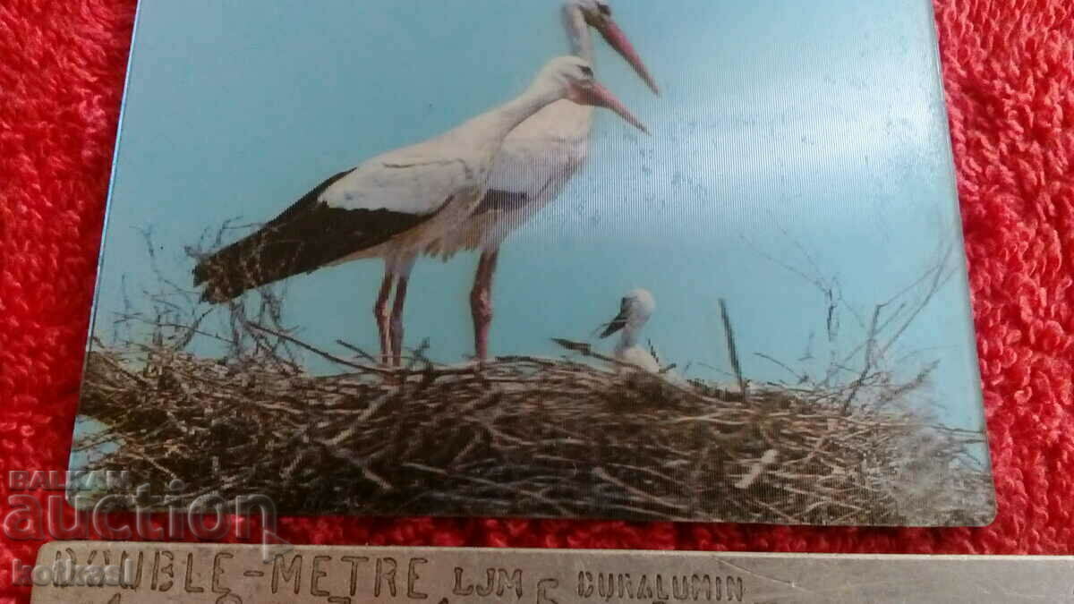 Licitație Magnet pentru frigider Suvenir Cuib Berze 3D