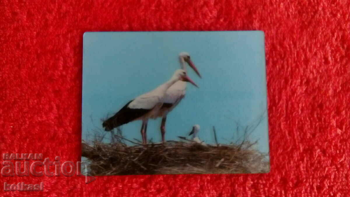 Magnet pentru frigider Suvenir Cuib Berze 3D - 5