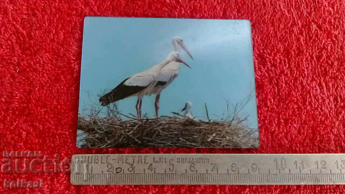 Souvenir Fridge Magnet Nest Storks 3D