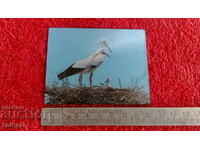 Souvenir Fridge Magnet Nest Storks 3D