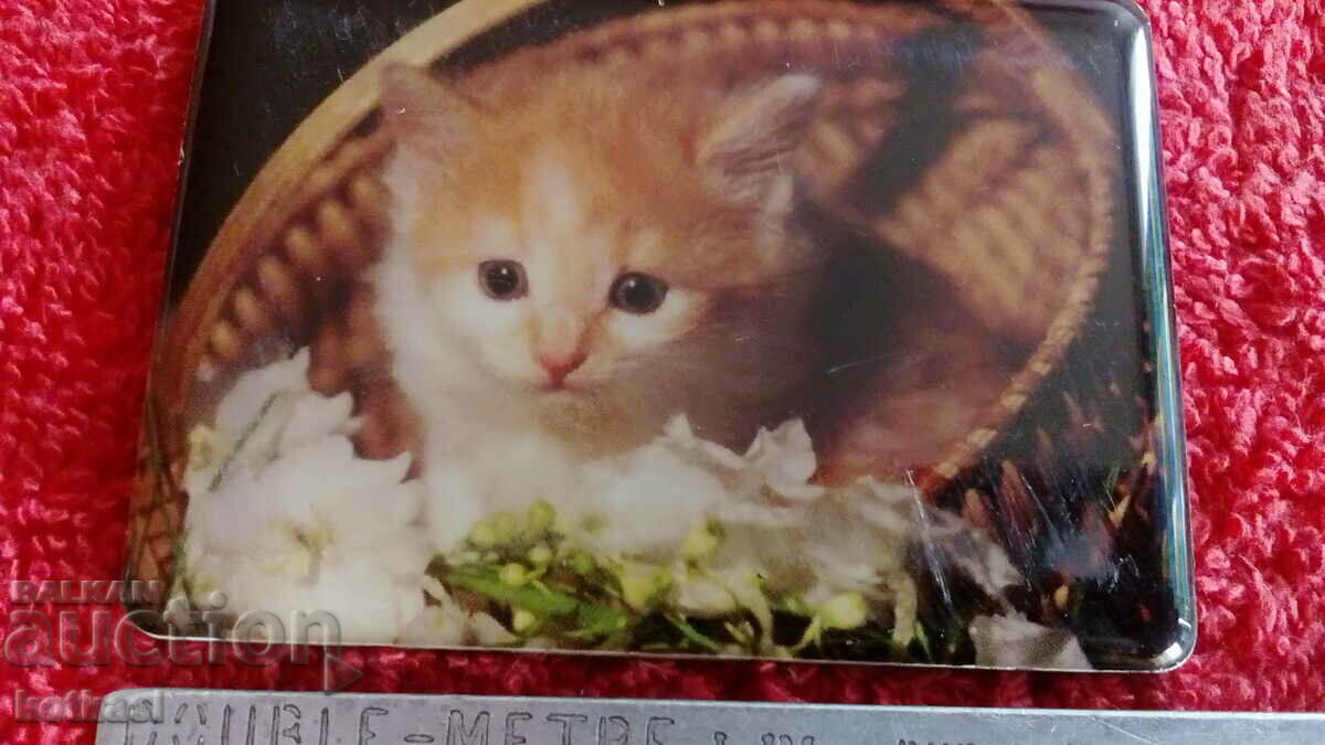 Auction  Souvenir Fridge Magnet Cat Kitten