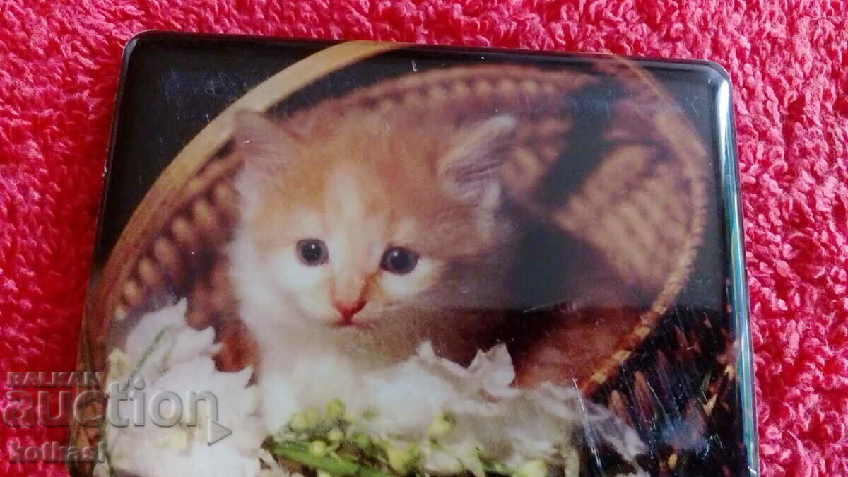 Delivery of Souvenir Fridge Magnet Cat Kitten