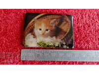 Souvenir Fridge Magnet Cat Kitten