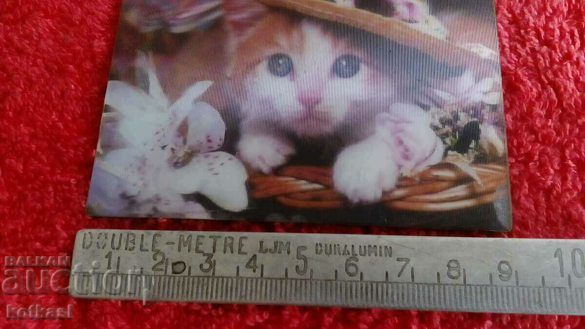 Souvenir Fridge Magnet Kitten Cat 3D beauty with price 15.50 BGN | € 7.93