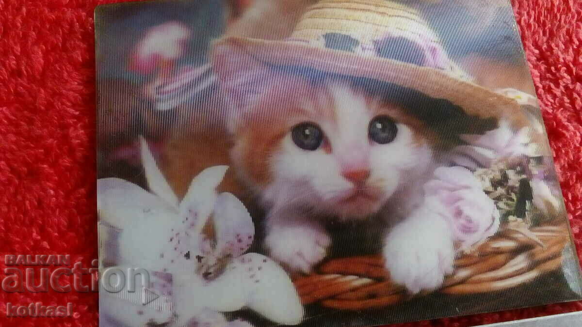 Auction  Souvenir Fridge Magnet Kitten Cat 3D beauty