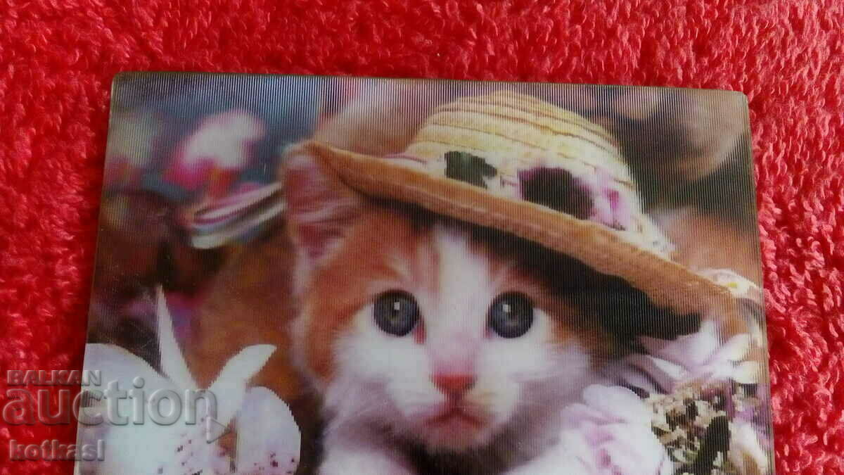 Delivery of Souvenir Fridge Magnet Kitten Cat 3D beauty