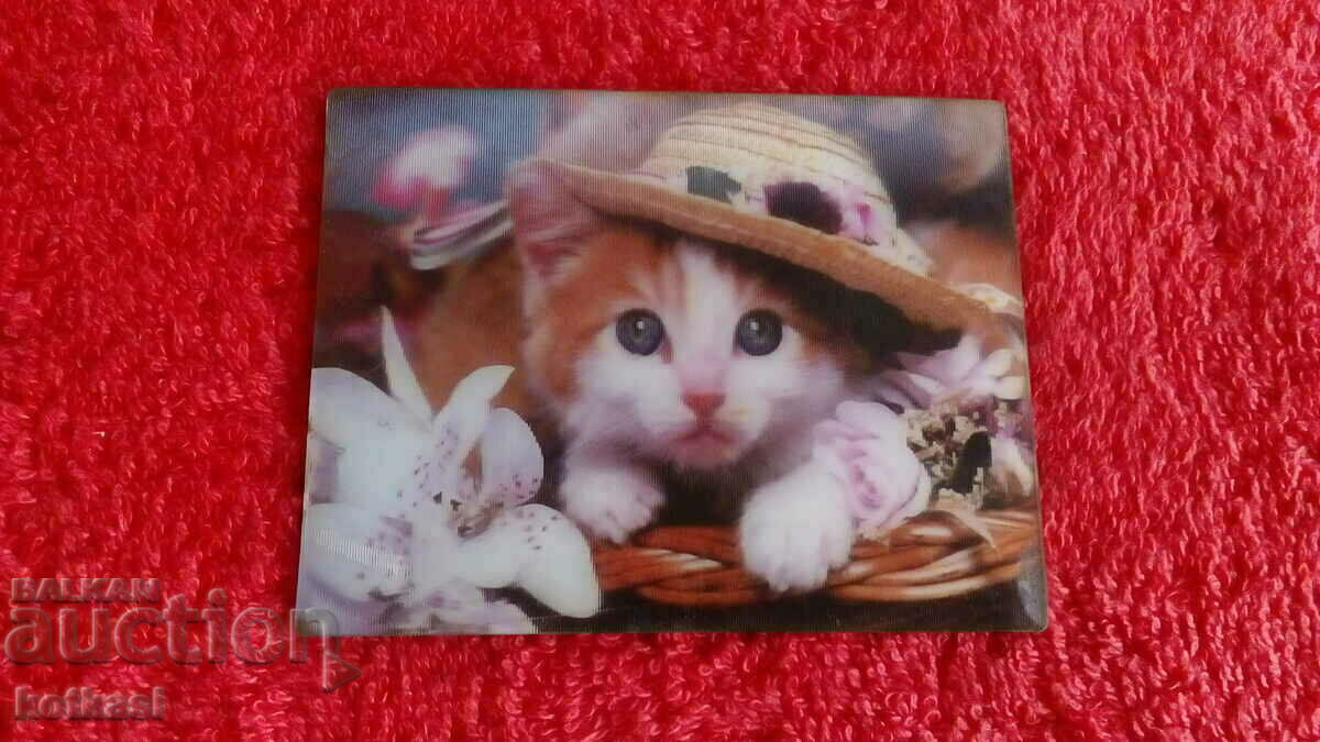 Souvenir Fridge Magnet Kitten Cat 3D beauty - 5