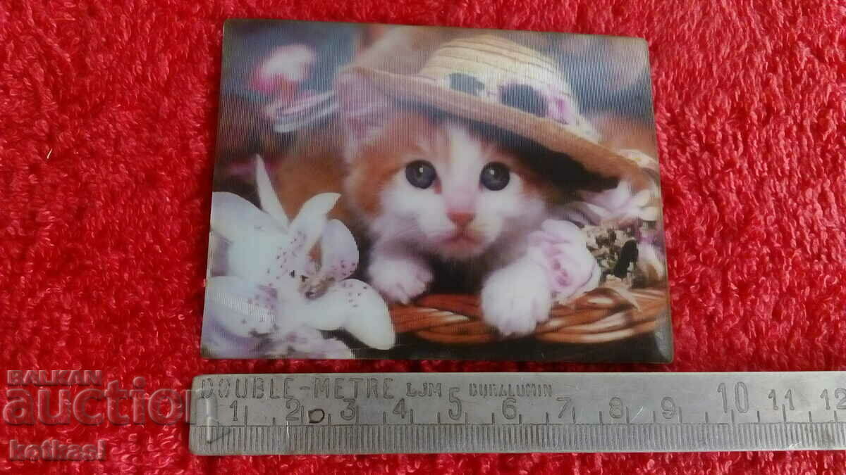 Souvenir Fridge Magnet Kitten Cat 3D beauty