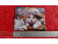 Souvenir Fridge Magnet Kitten Cat 3D beauty