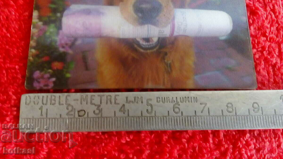 Σουβενίρ Μαγνήτης Ψυγείου Σκύλος με 3D εφημερίδα με τιμή € 10.00 | 19.56 BGN