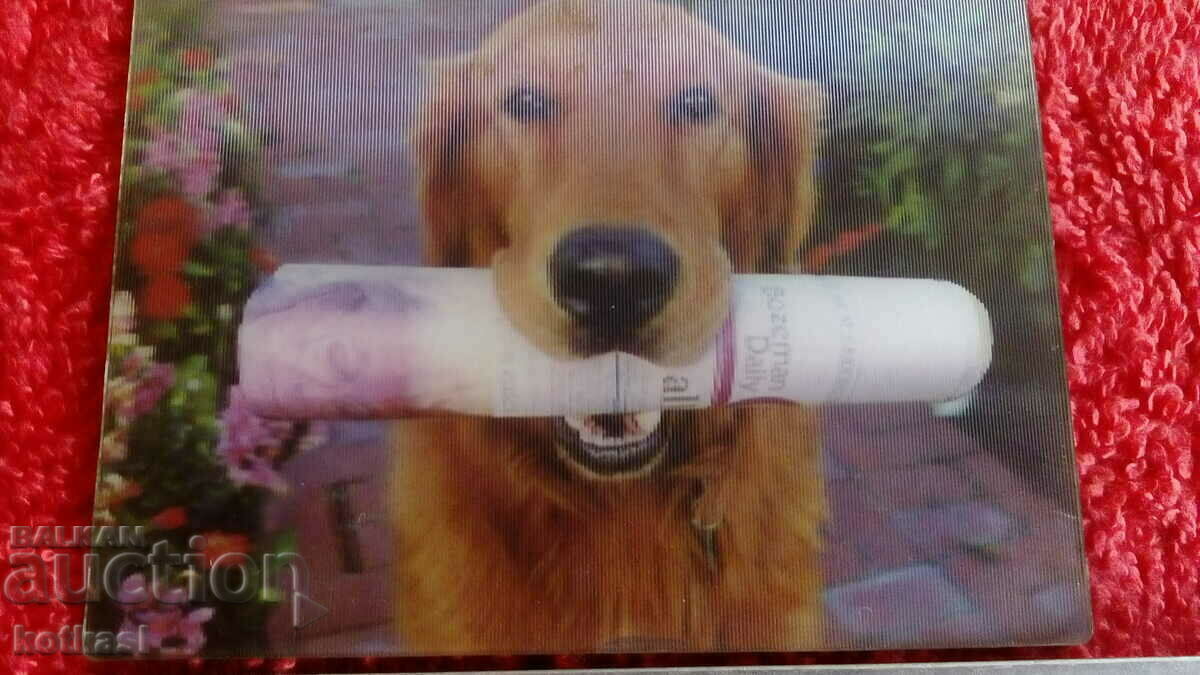 Auction  Souvenir Fridge magnet Dog with 3D newspaper