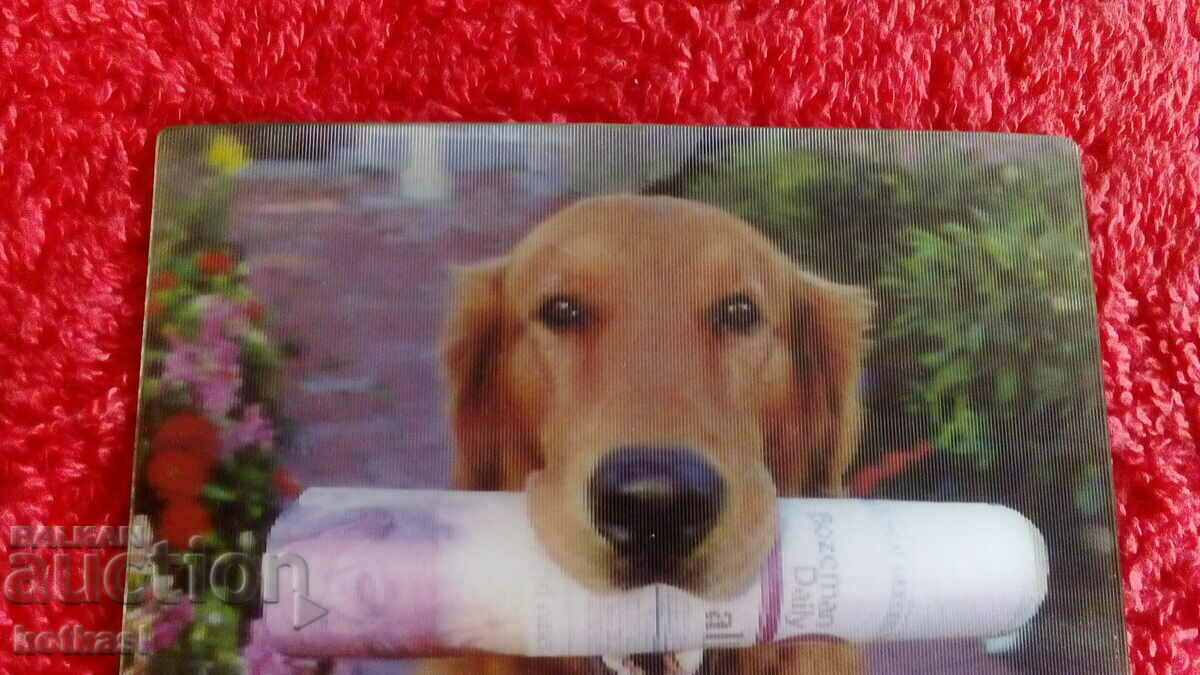 Delivery of Souvenir Fridge magnet Dog with 3D newspaper