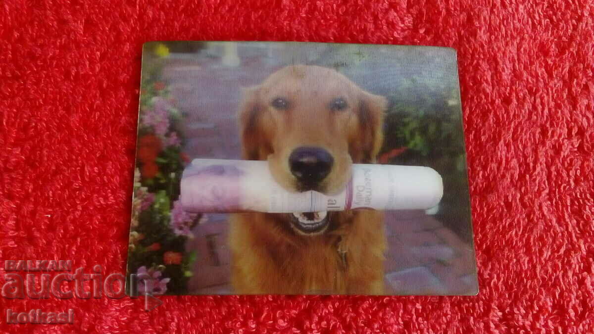 Souvenir Fridge magnet Dog with 3D newspaper - 5