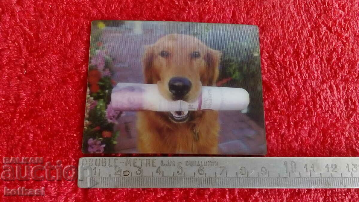 Souvenir Fridge magnet Dog with 3D newspaper