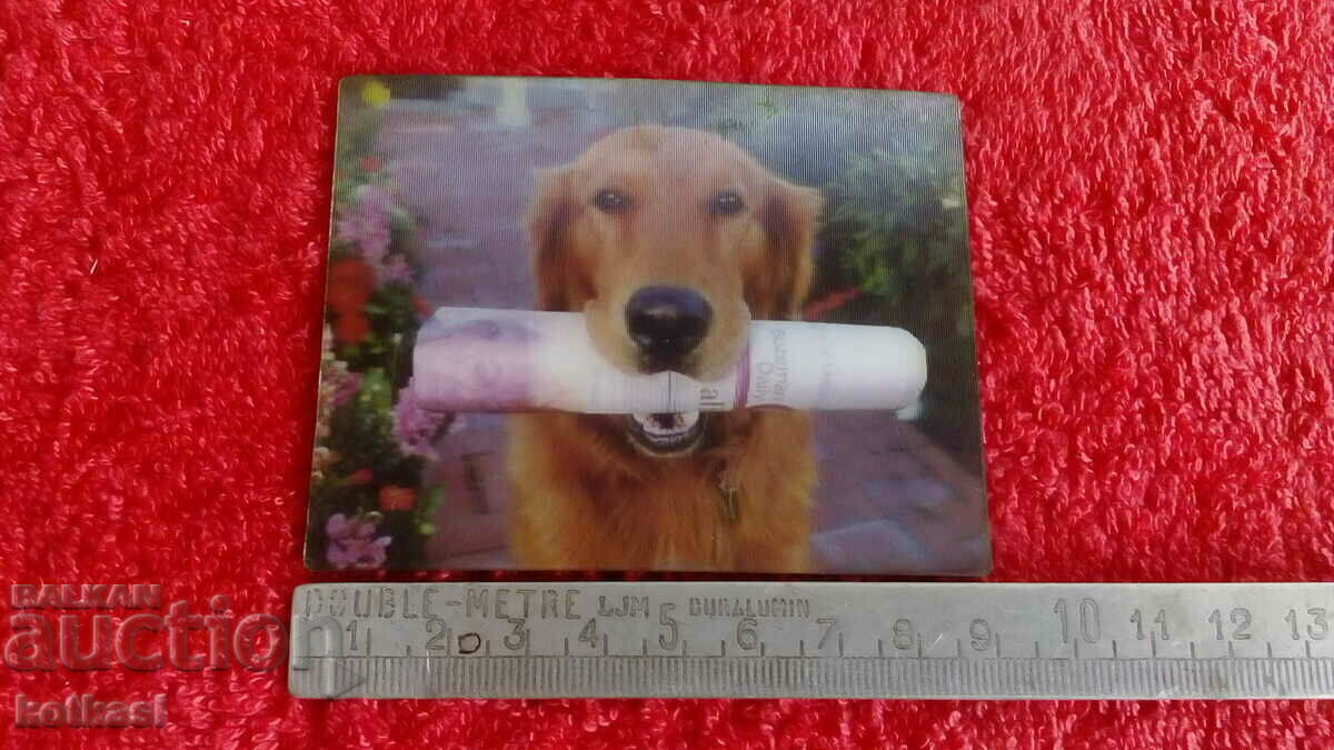 Suvenir Magnet de frigider Câine cu ziar 3D