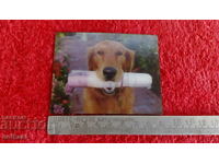 Souvenir Fridge magnet Dog with 3D newspaper