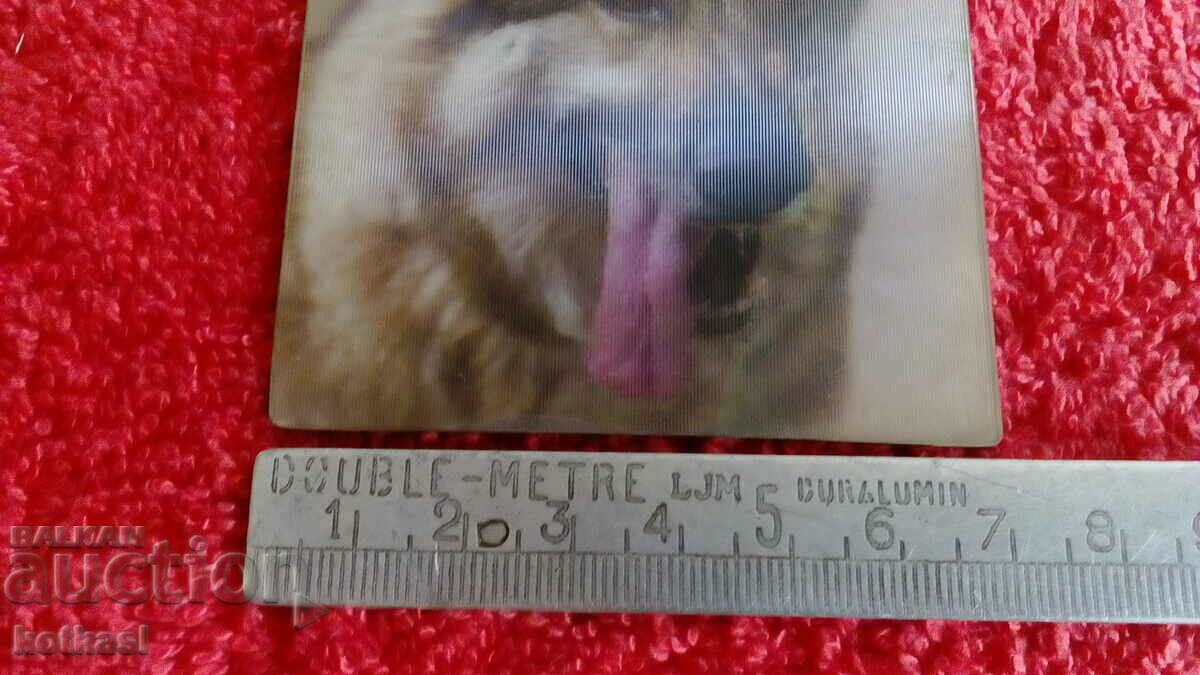 Auction  Souvenir Fridge Magnet Dog 3D