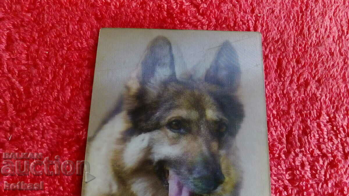 Souvenir Fridge Magnet Dog 3D - 5 Souvenir Fridge Magnet Dog 3D - 5