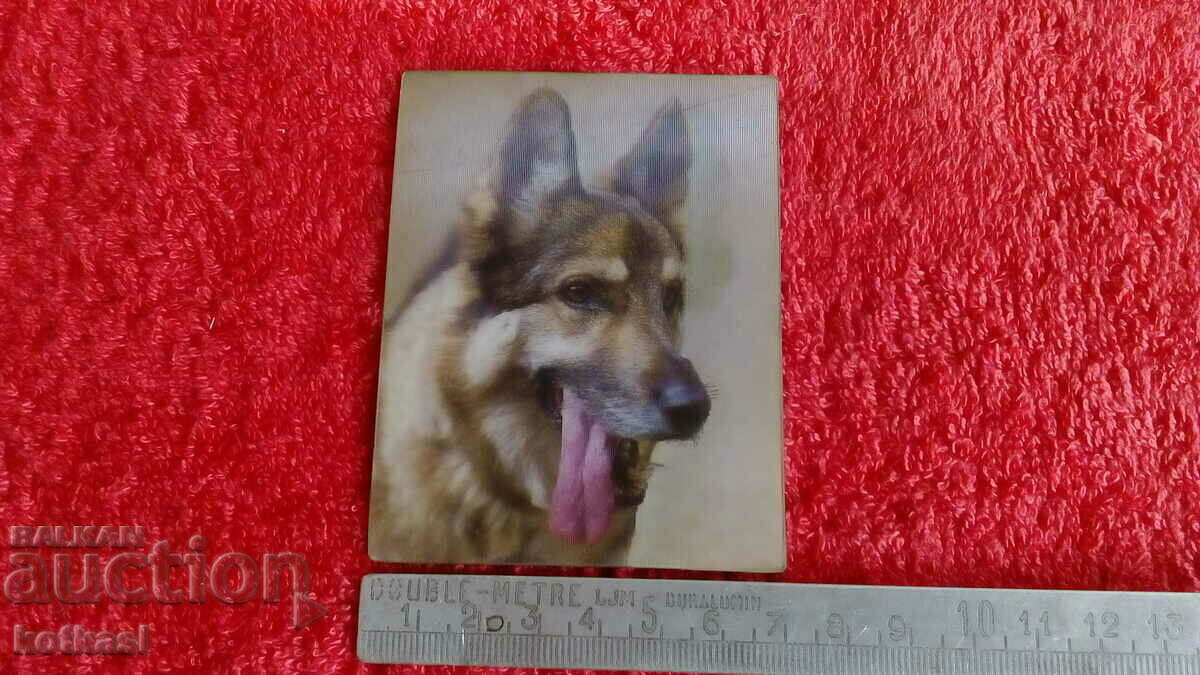 Souvenir Fridge Magnet Dog 3D Souvenir Fridge Magnet Dog 3D