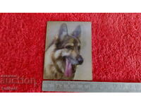 Souvenir Fridge Magnet Dog 3D