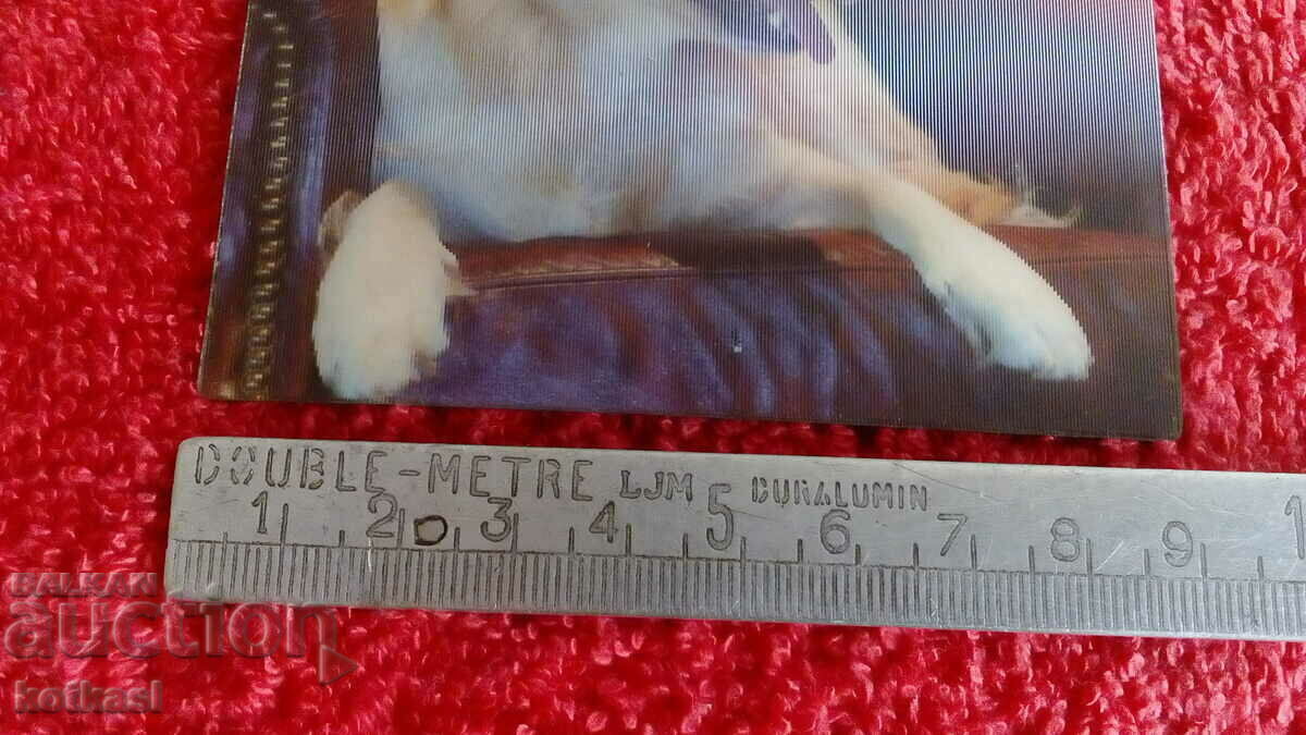 Сувенир Магнит за хладилник Куче 3D с цена 25.50 лв. | € 13.04 Сувенир Магнит за хладилник Куче 3D с цена 25.50 лв. | € 13.04